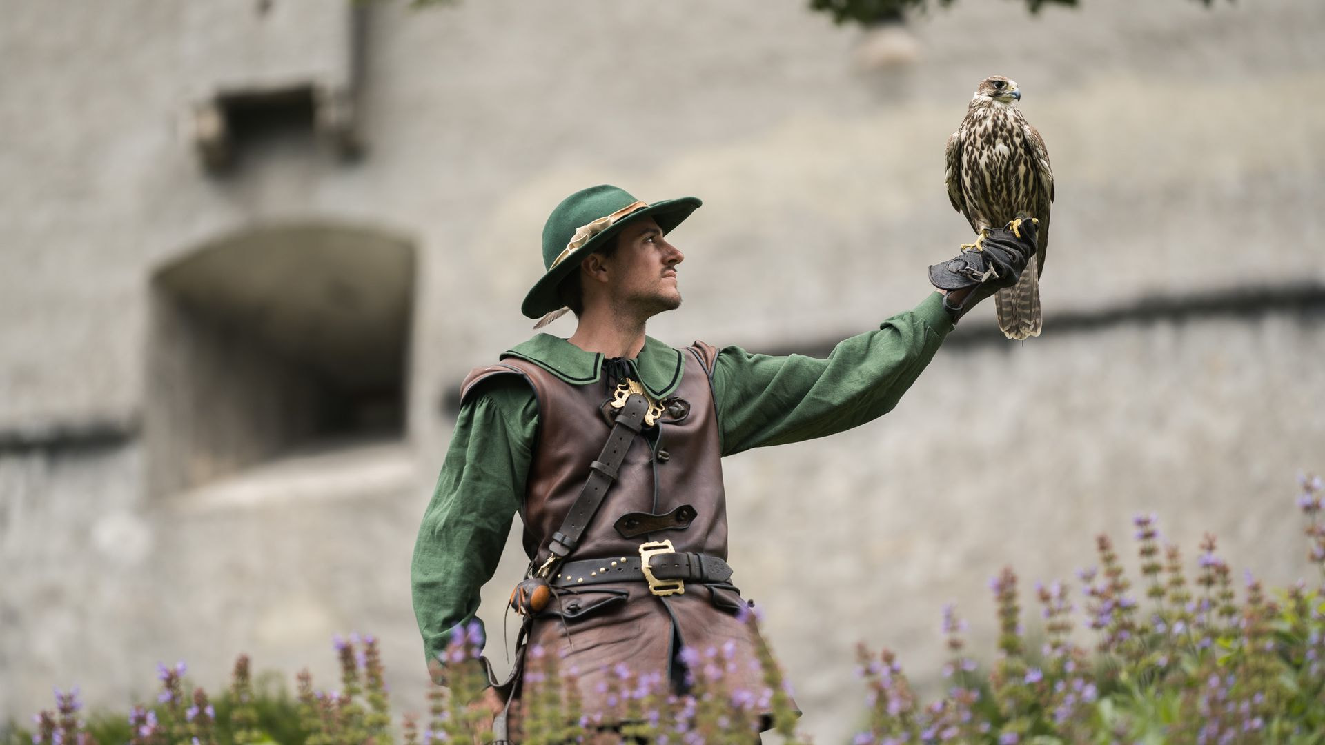 BurgHohenwerfen_Falknerei3